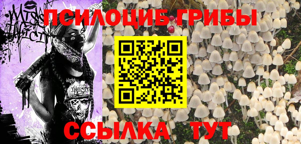 Псилоцибиновые грибы Psilocybe Янаул